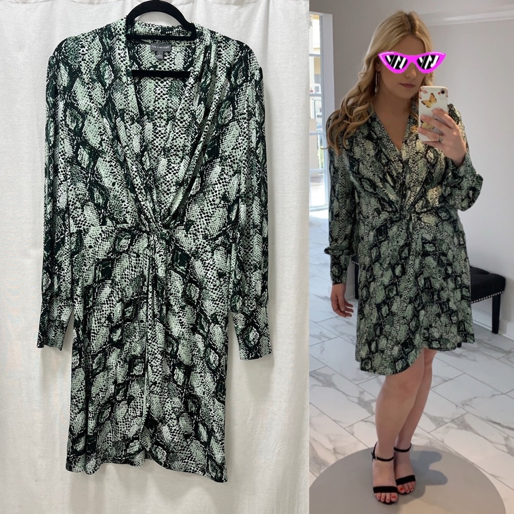 WORN ONCE The Limited Green Snakeskin Dress - L